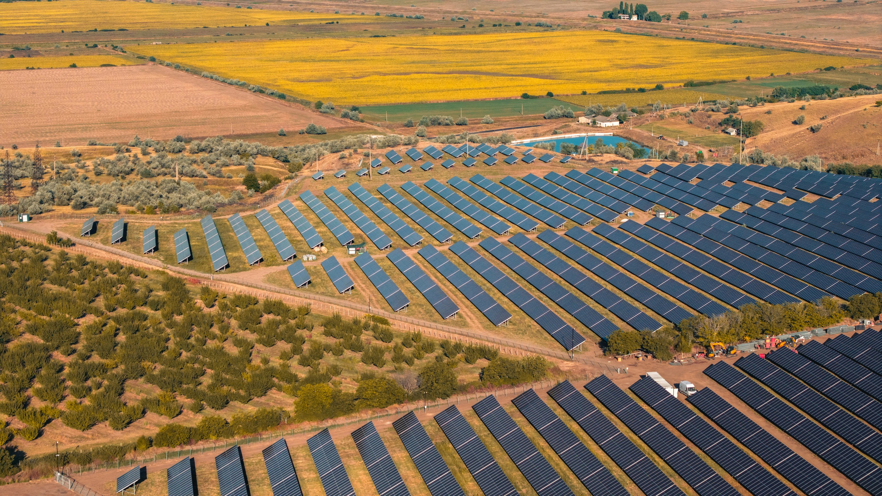 Solar panels integrated with agricultural crops
